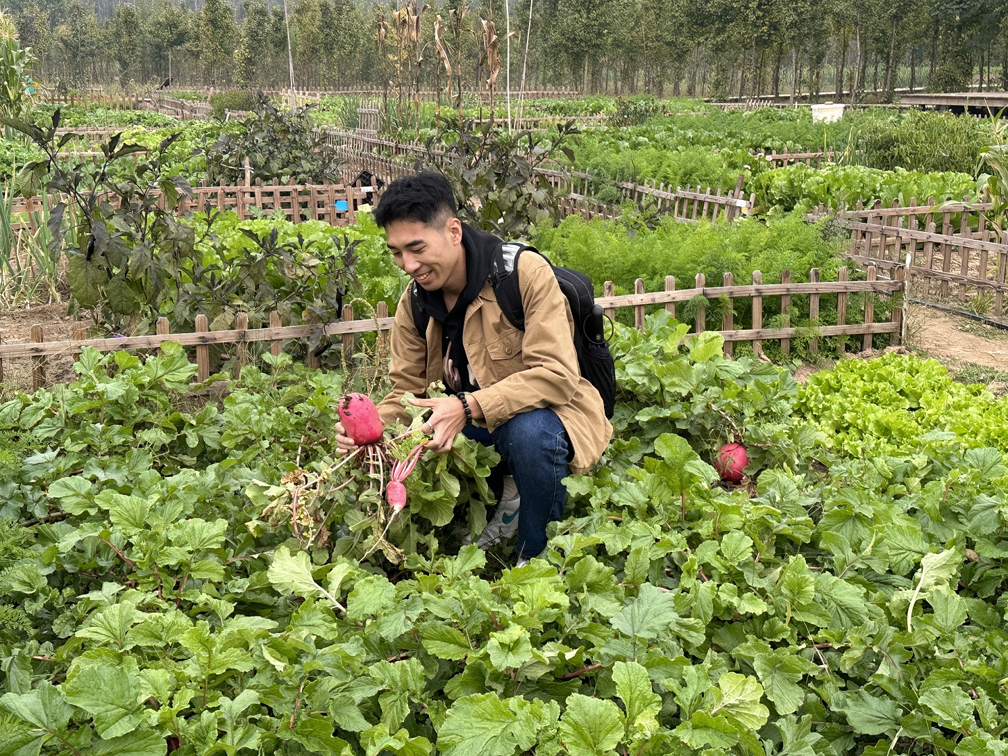 安海志愿.jpg